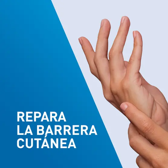 Captura de pantalla 2026-06-26 114256.webp