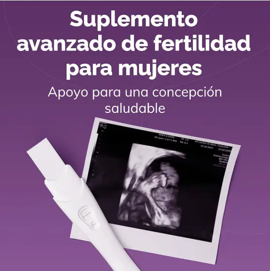 Captura de pantalla 2026-06-26 180815.webp