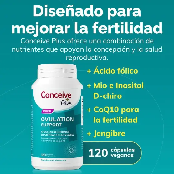 Captura de pantalla 2026-06-26 182146.webp