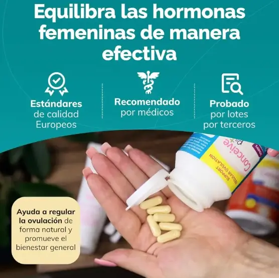 Captura de pantalla 2026-06-26 182217.webp