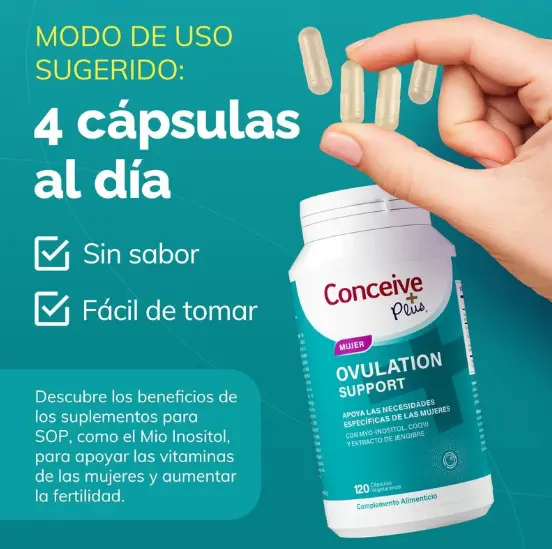 Captura de pantalla 2026-06-26 182335.webp