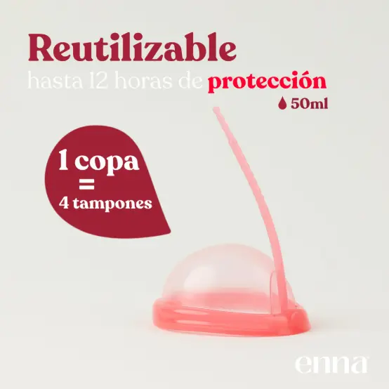 Captura de pantalla 2026-07-22 093537.webp
