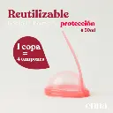 Captura de pantalla 2026-07-22 093537.webp