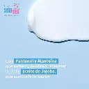 61jMotyuzZL._SX522_.webp