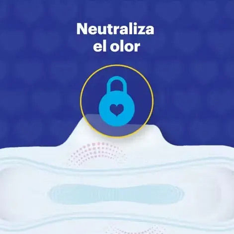 Captura de pantalla 2026-07-22 122641.webp