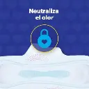Captura de pantalla 2026-07-22 122641.webp