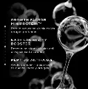 pro-collagen 2.webp