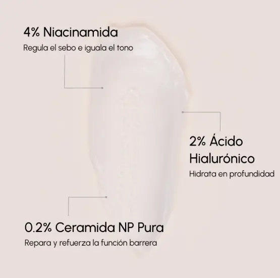 Captura de pantalla 2026-08-12 120958.webp