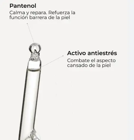 Captura de pantalla 2026-08-13 102942.webp