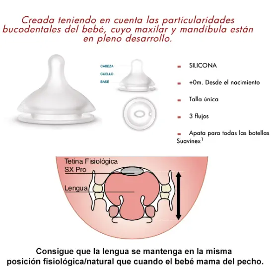 Captura de pantalla 2026-08-21 100620.webp