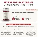 ferroplus.webp