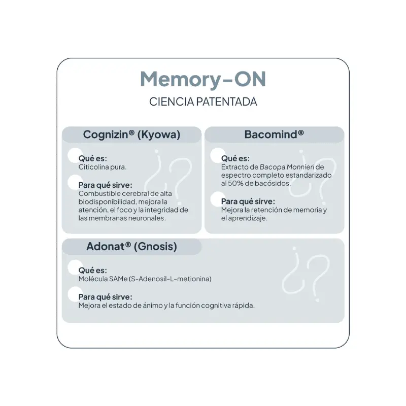 ivb-memory-on.webp