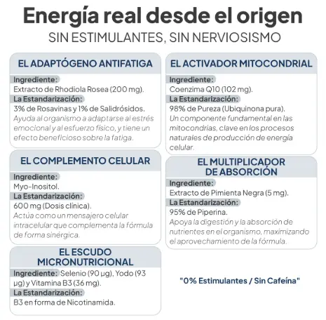 tyroenergy2.webp