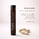 kobho-glp.webp