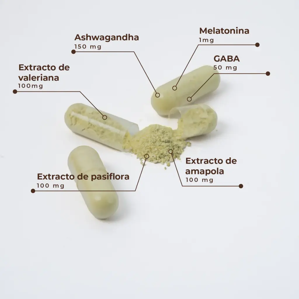 neuro_nuevo-es_cap_1100x.webp