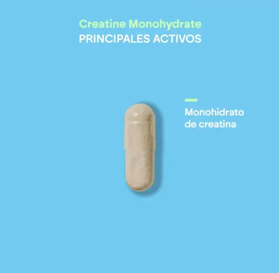 creatina.webp