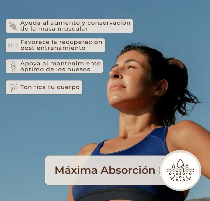 Captura de pantalla 2026-08-24 163719.webp