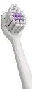 vitis-Baby_3.webp