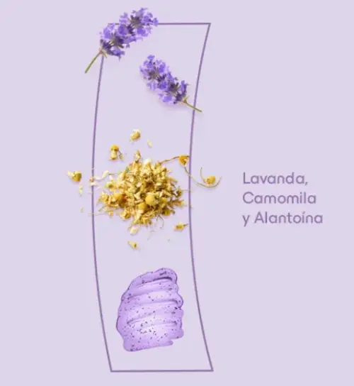 Captura de pantalla 2026-08-26 095421.webp