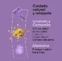 Captura de pantalla 2026-08-26 100338.webp