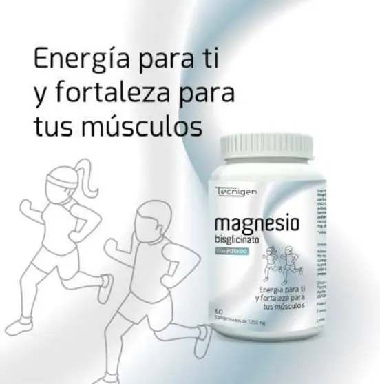 Captura de pantalla 2026-08-26 114017.webp