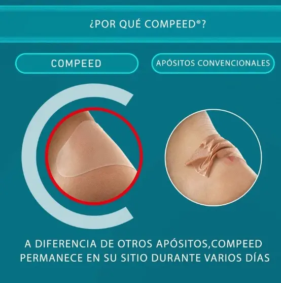 Captura de pantalla 2026-08-31 174947.webp