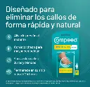 Captura de pantalla 2026-08-31 181529.webp