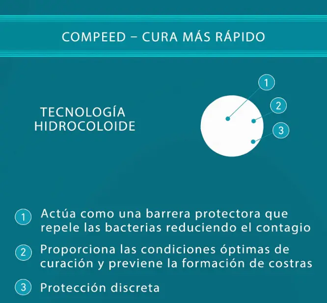 Captura de pantalla 2026-08-31 182130.webp