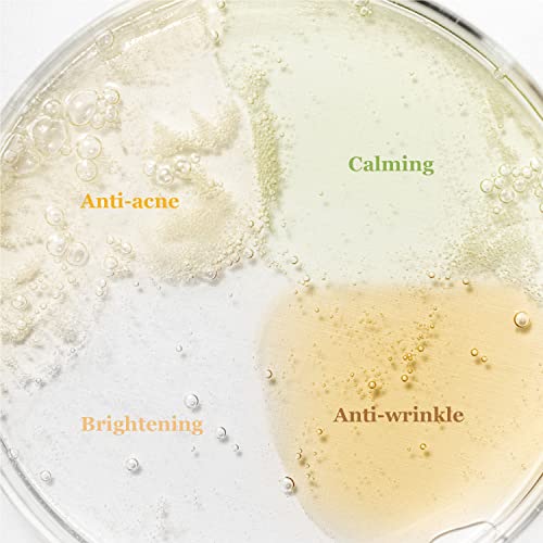 Beauty of Joseon, Hanbang Serum Discovery Kit, 4 Piece Kit