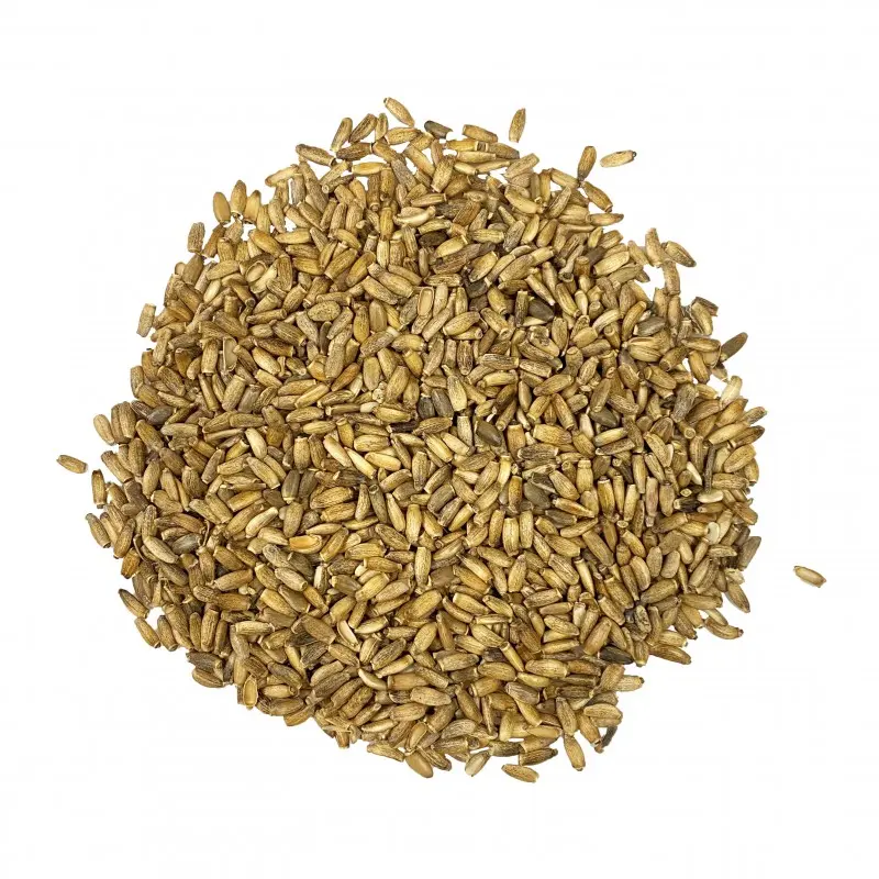 cardo-mariano (1).webp