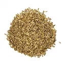 cardo-mariano (1).webp