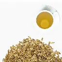 cardo-mariano (2).webp