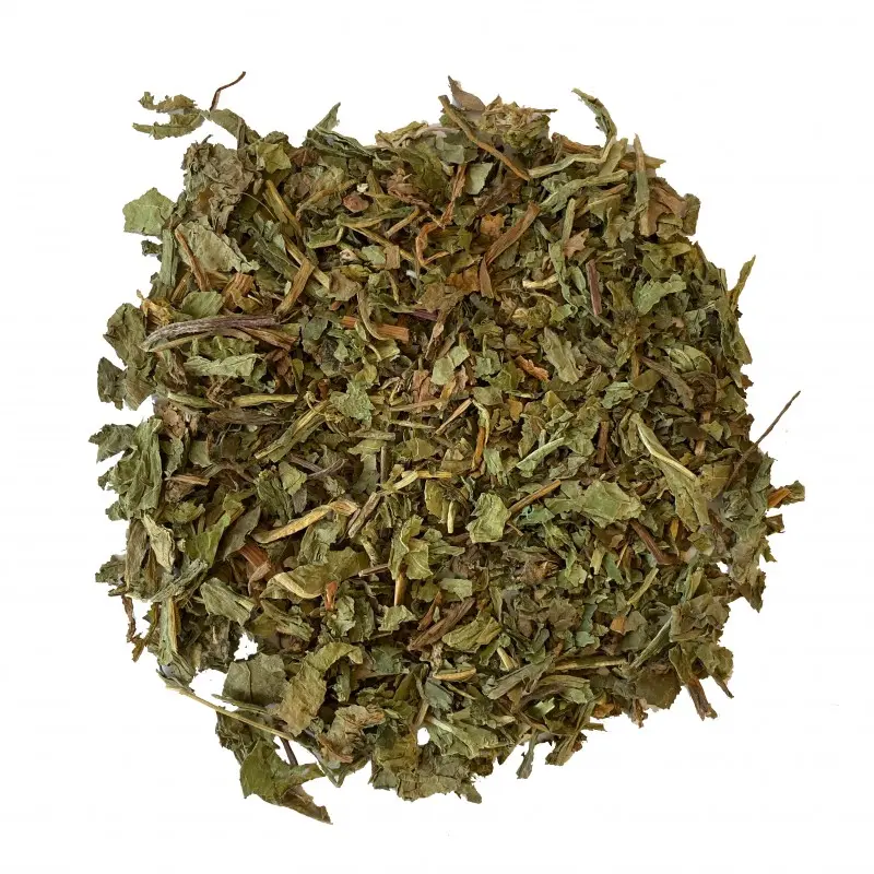 diente-de-leon (2).webp