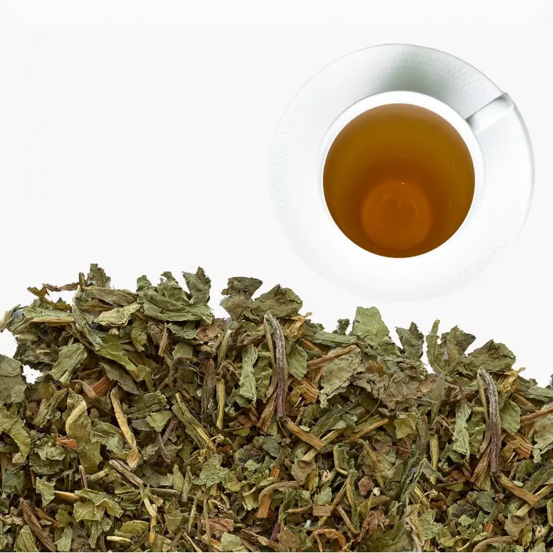 diente-de-leon (3).webp