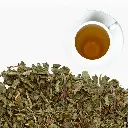 diente-de-leon (3).webp