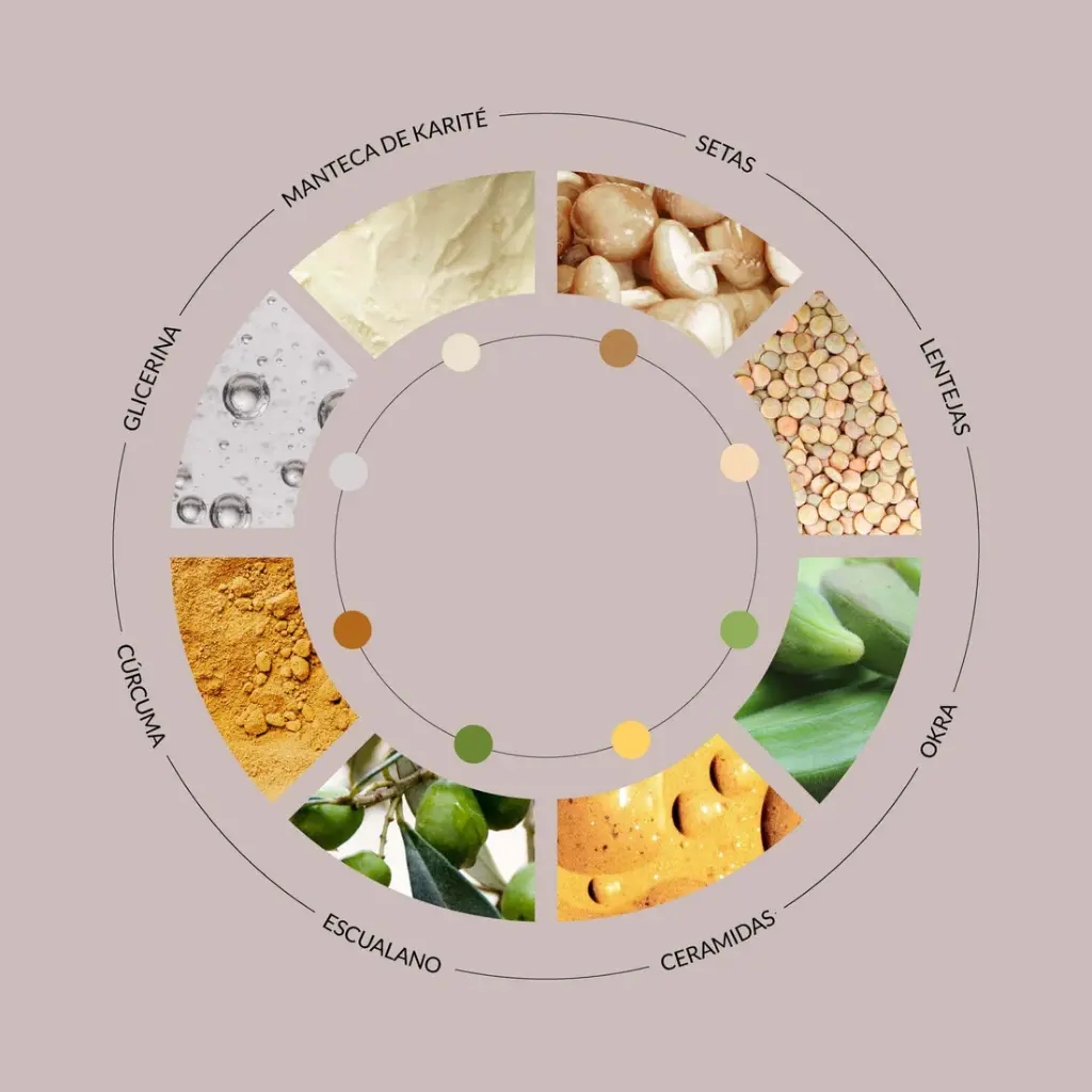 Mushroom_Karite_Story_crema_Byoode (1).webp