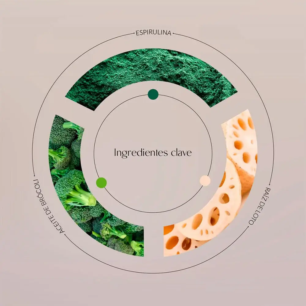 Lotus-_-Spirulina-Romance.webp