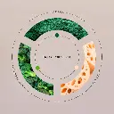 Lotus-_-Spirulina-Romance.webp