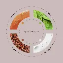 NOPAL_c4cd9166-be3a-4f01-ad3e-ca17756d1b3e.webp