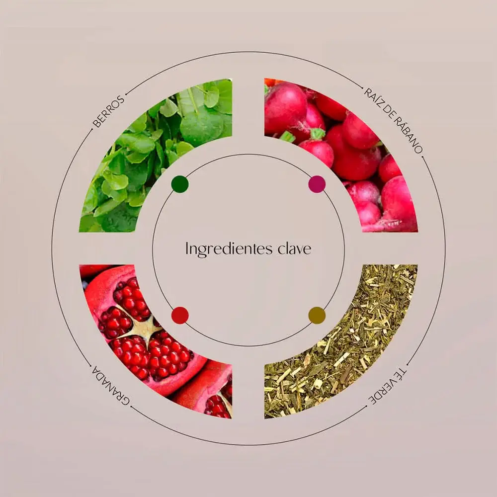 green-poem-ingredientes.webp