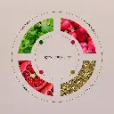 green-poem-ingredientes.webp