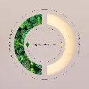 Brightening-Sprouts-Ecstasy-2.webp