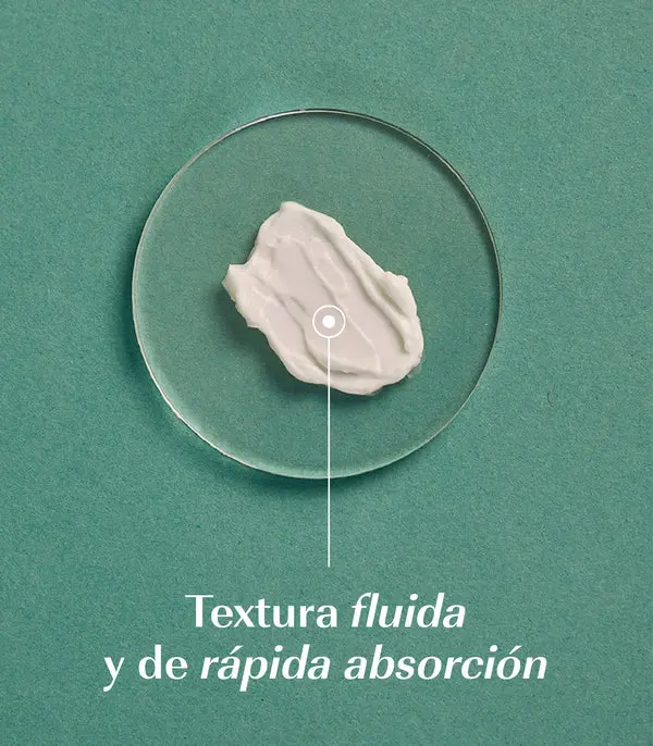 FOTOS_PRODUCTO_WEB-44.webp