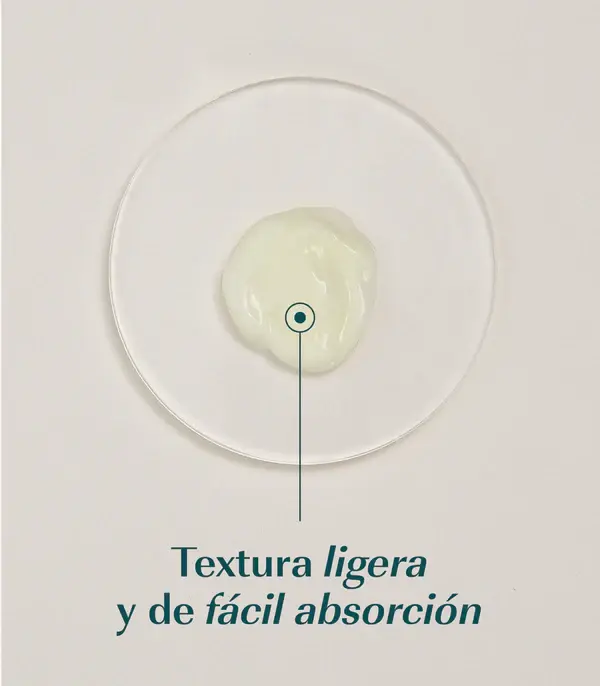 FOTOS_PRODUCTO_WEB-02.webp