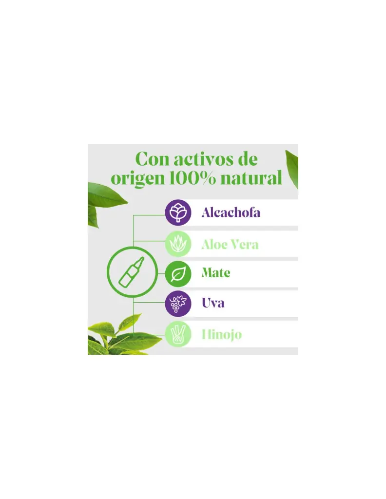 complemento-alimenticio-arko-alcachofa-forte-ultraconcentrado-20-ampollas (3).webp