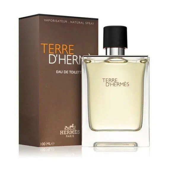 Hermes Terre D'Hermes EDT 100 ml  